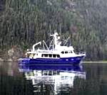 motoryacht_charter_boat